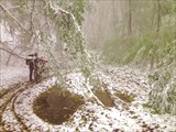 Припорошило.